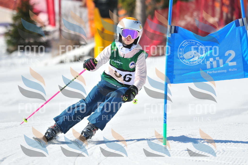 C3238 | holidayphoto