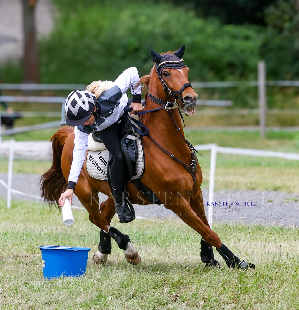 1B3A1279 | Reitsport Reiten