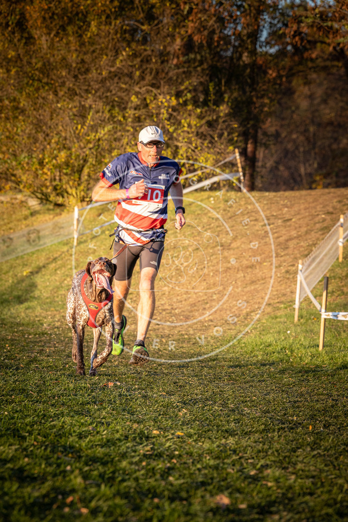 CaniXpix_0L8A1479 | Hundefotografie, Tierfotograf, Pfotenfotografie, Fotoshooting Hund, Hunde Portrait, Hundesport, Hundeportraits, Heideshooting, Hunde, Sportfotograf, Hundefotograf, Turnierhundsport, THS,  - Realisiert mit Pictrs.com
