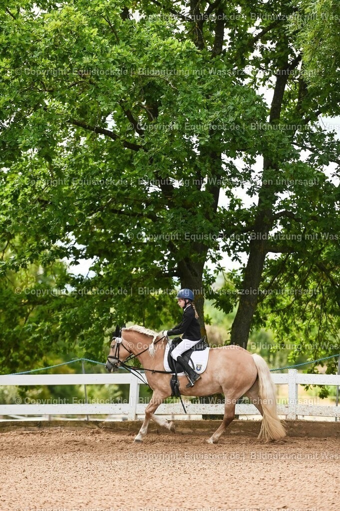 20230716_10-2_Reiter-WB Schritt - Trab - Galopp_0044 | equistock