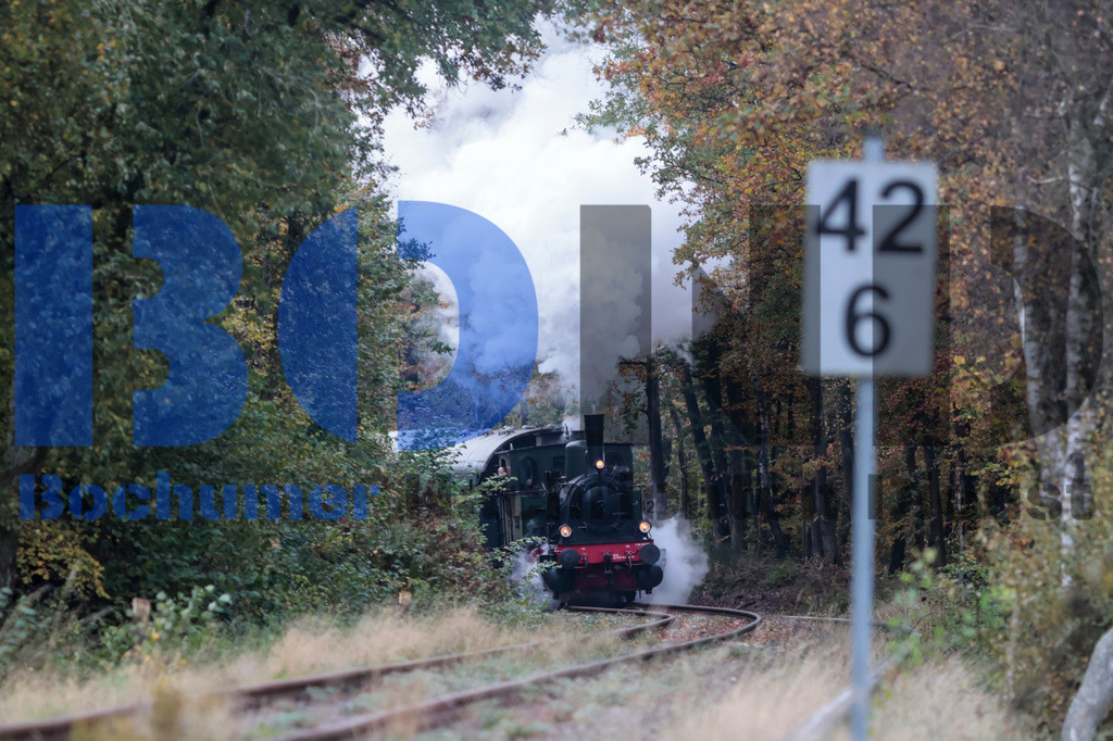  04.11.2023 - 
 | Sebastian Sendlak / Bochumer Nachrichtendienst (BOND) - Dampflok Waldbroel auf der Volmetalbahn - Realisiert mit Pictrs.com