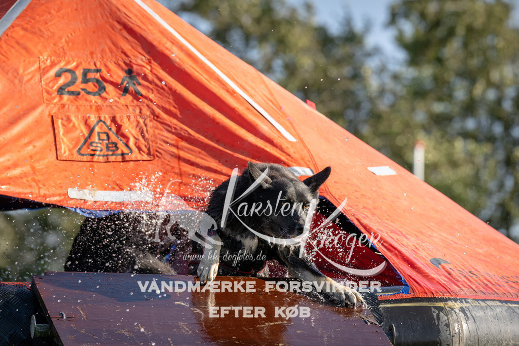 1451-90165 | kk-dogfotos