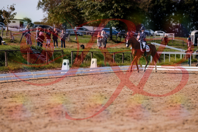 2026_10_03_Siefer-Hof_123403_Z81_31655306 | Professionelle Reitsport-, Turnier- und Eventfotografie von Robert Broda. Galerien mit ausgewählten und bearbeiteten Bildern direkt online ansehen und bestellen.