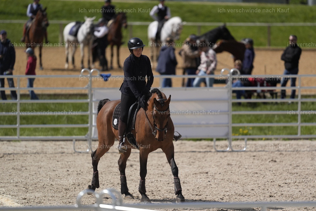 PI26_COW_Stoibphotography_DSC5814.JPG | working equitationturnier fotograf videograf stoibphotography marixx film working equitation deutschland reitsport turnierfotografie eventfotografie equestrian events