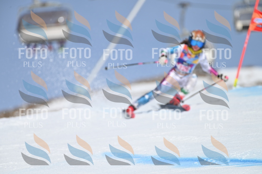 BGV_9909 | holidayphoto