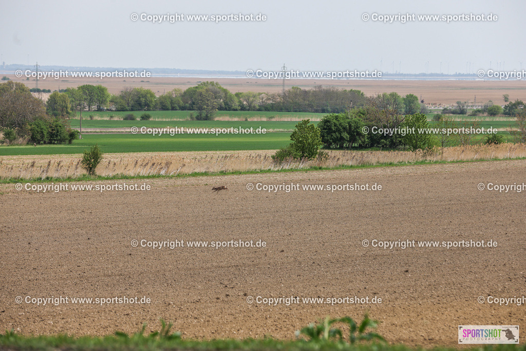 007A3318 | Neusiedlersee Radmarathon #neusiedlerseeradmarathon #neusiedlersee #nrm26 #yourpictrs #sportshot_your_pictrs