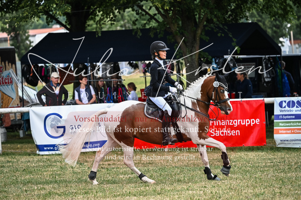 DSC_8563 | Pferde- und Turnierfotografie in Westsachsen. Pferdeportraits, Auftragszeichnungen und intuitive Kunst.