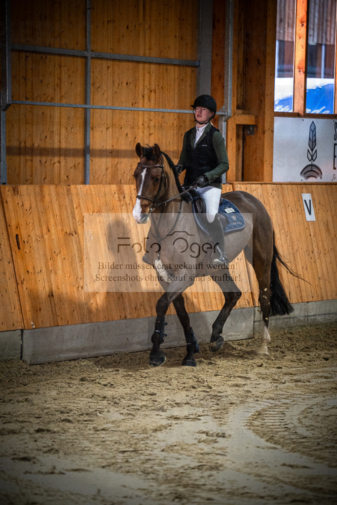 DOS_0188 | Entdecke hochwertige Reitturnierfotos von Foto Oger. Professionell, emotional und authentisch – jetzt Lieblingsmomente im Shop bestellen.Deutschlandweite Turnierfotografie. - Realisiert mit Pictrs.com