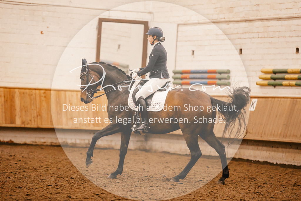 3I6A2669 | Stimmungsvolle Portraits und Reitsportfotografie im Ruhrgebiet und im Münsterland.

Pferdefotografie, Hundefotografie, Tierfotografie, Reportagen, Portraits von Tier und Mensch, Turnierfotografie in Bochum, Recklinghausen, Marl, Haltern am See, Dülmen.. - Realisiert mit Pictrs.com