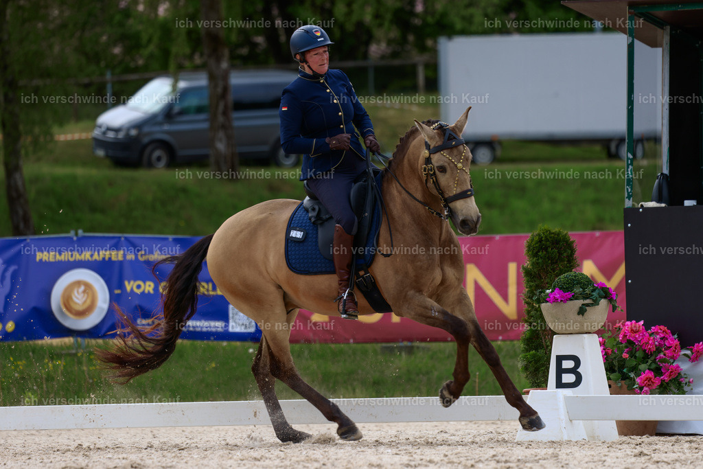 PI26_DR_269_StoibphotographyC2_L7201A.jpg | working equitationturnier fotograf videograf stoibphotography marixx film working equitation deutschland reitsport turnierfotografie eventfotografie equestrian events