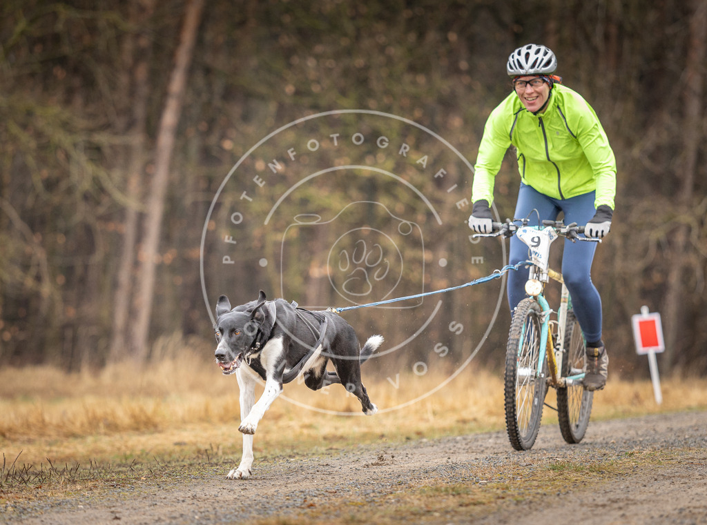 DV3A3206 | Hundefotografie, Tierfotograf, Pfotenfotografie, Fotoshooting Hund, Hunde Portrait, Hundesport, Hundeportraits, Heideshooting, Hunde, Sportfotograf, Hundefotograf, Turnierhundsport, THS,  - Realisiert mit Pictrs.com