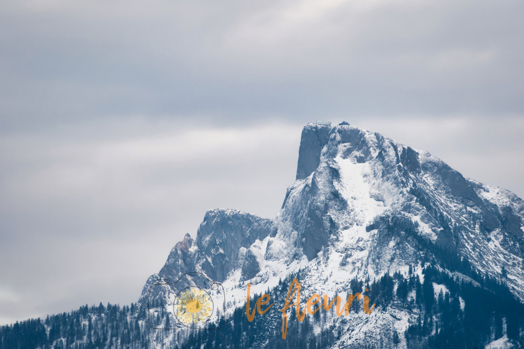 DSC_0014-NEF_DxO_DeepPRIME | Dies ist der Shop von Florian Blum - le fleuri. Langenthal, Bern, SchweizSie können hier meine oder ihre eigenen Fotos als Fotoprodukte kaufen. Tassen, Schlüsselanhänger, Taschen etc. können Sie hier gestalten.  - Realisiert mit Pictrs.com