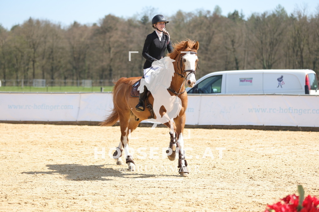 0P6A0613 | Willkommen bei Brunnmayr - Design & Fotografie – Ihrem Spezialisten für Reitturniere und Pferdeveranstaltungen in Oberösterreich, Salzburg und Bayern! Seit über 17 Jahren sind wir leidenschaftlich dabei.