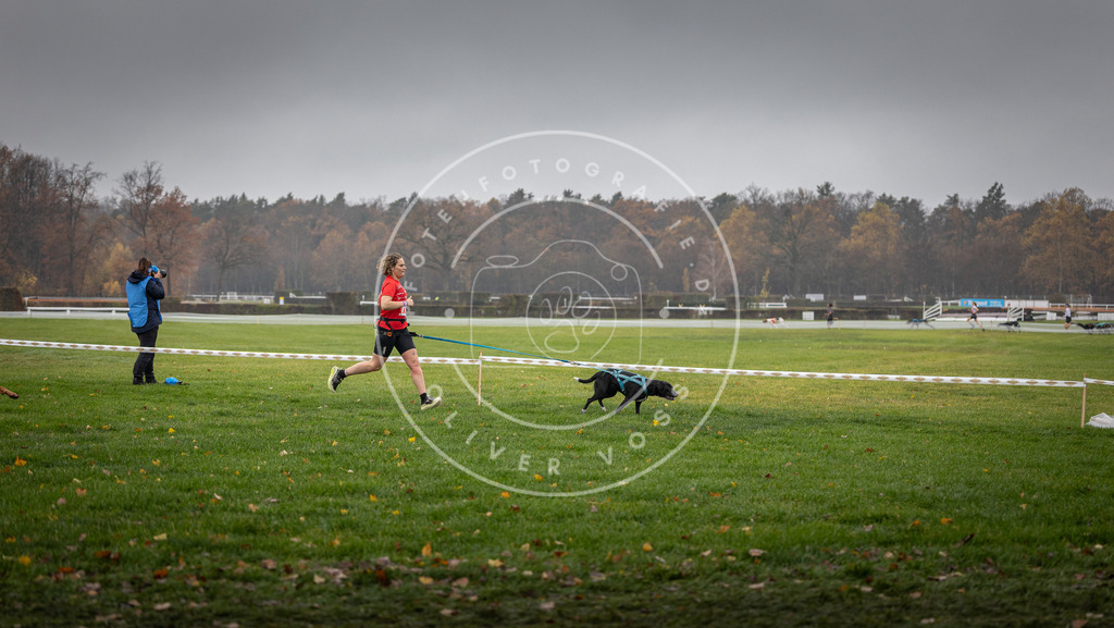 CaniXpix_DV3A8896 | Hundefotografie, Tierfotograf, Pfotenfotografie, Fotoshooting Hund, Hunde Portrait, Hundesport, Hundeportraits, Heideshooting, Hunde, Sportfotograf, Hundefotograf, Turnierhundsport, THS,  - Realisiert mit Pictrs.com