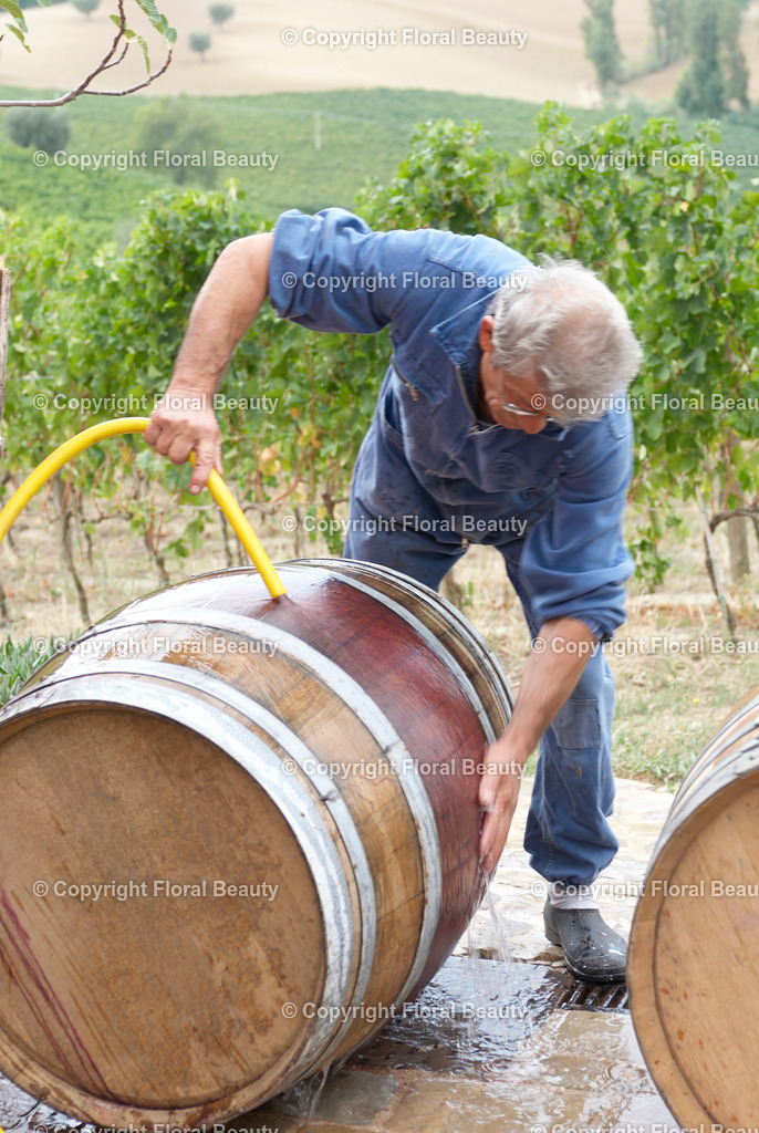 Weingut in Italien | Weinfass wird vor der Befüllung gereinigt - Realisiert mit Pictrs.com