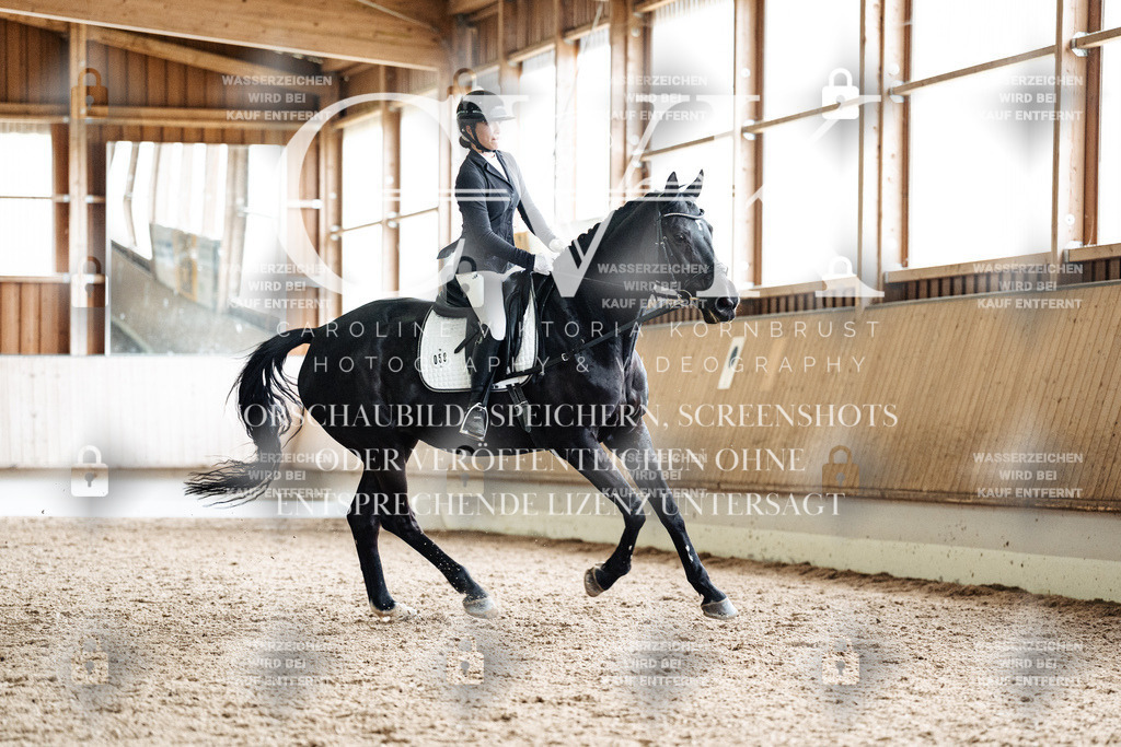 CK901073 | Turnierfotografie Pferdefotografie Trier Rheinland-Pfalz Pferdesport Reitsport Tierfotografie Sportfotografie Pferdevideo Pferdevideografie Equestrianvideography equestrianphotography  - Realisiert mit Pictrs.com