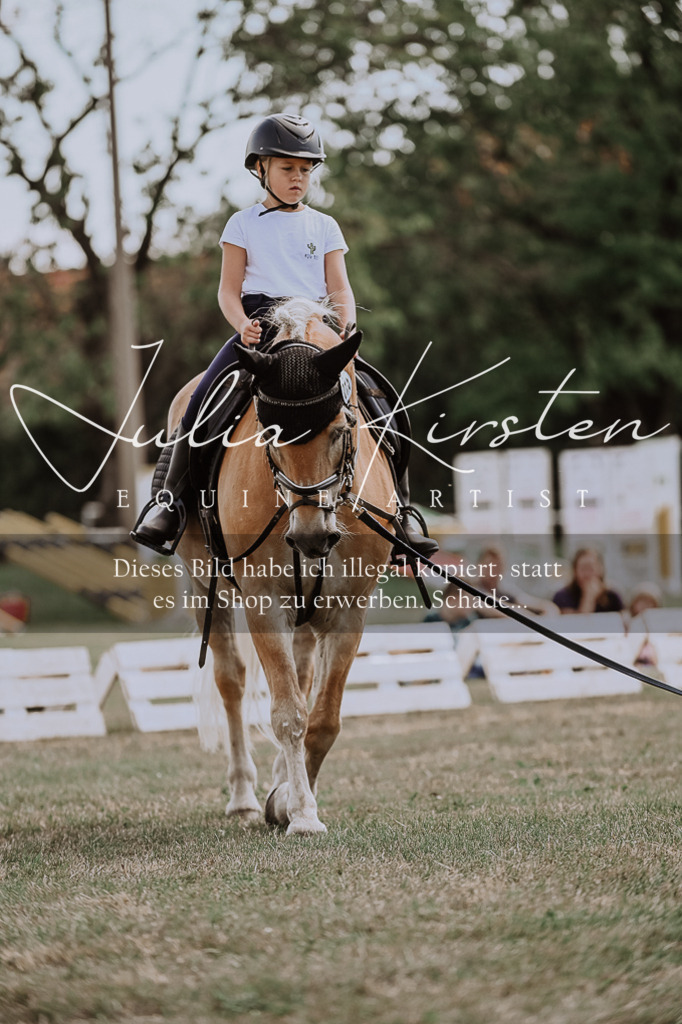 DSC_7703 | Pferde- und Turnierfotografie in Westsachsen. Pferdeportraits, Auftragszeichnungen und intuitive Kunst.