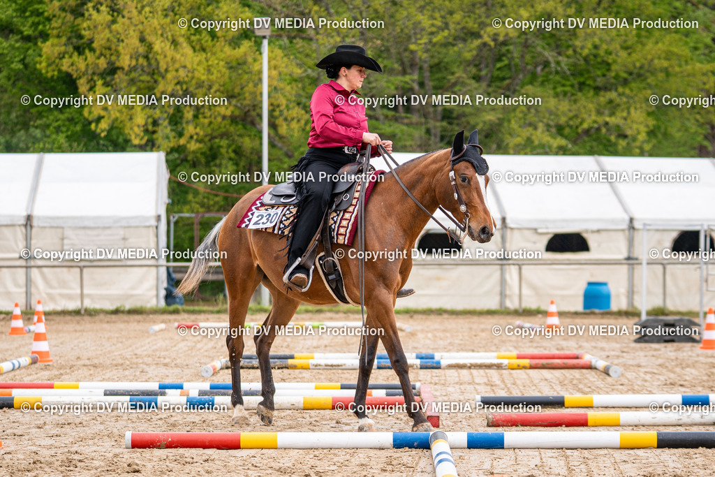 Heiligenwald Tag 1-416 | dv-media-shop - Realisiert mit Pictrs.com