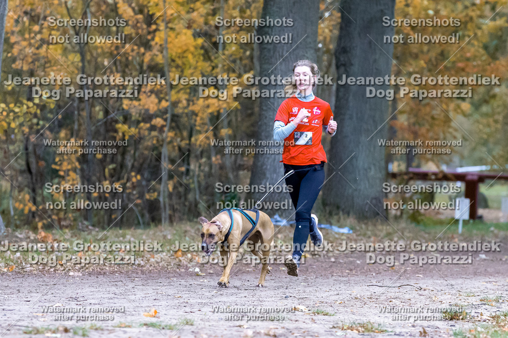 Dog Paparazzi - SD CaniX Championship 2025-295 | Dog Paparazzi Jeanette Grottendiek Fotografie & Videografie - Realisiert mit Pictrs.com