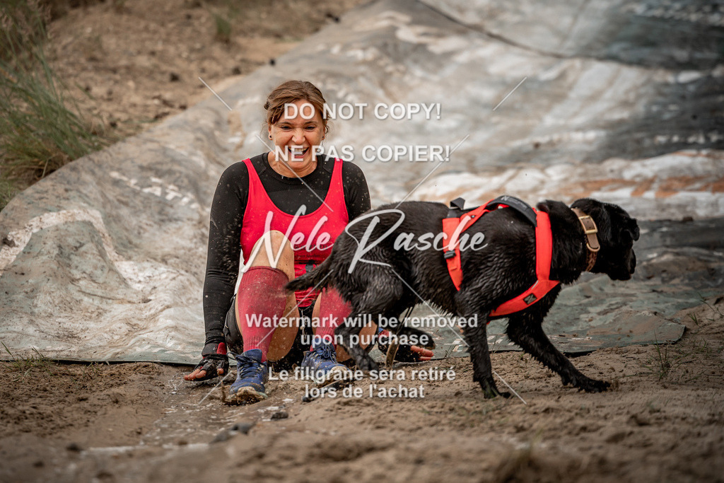 nelerasche_sa0800-1000_353 | nelerasche