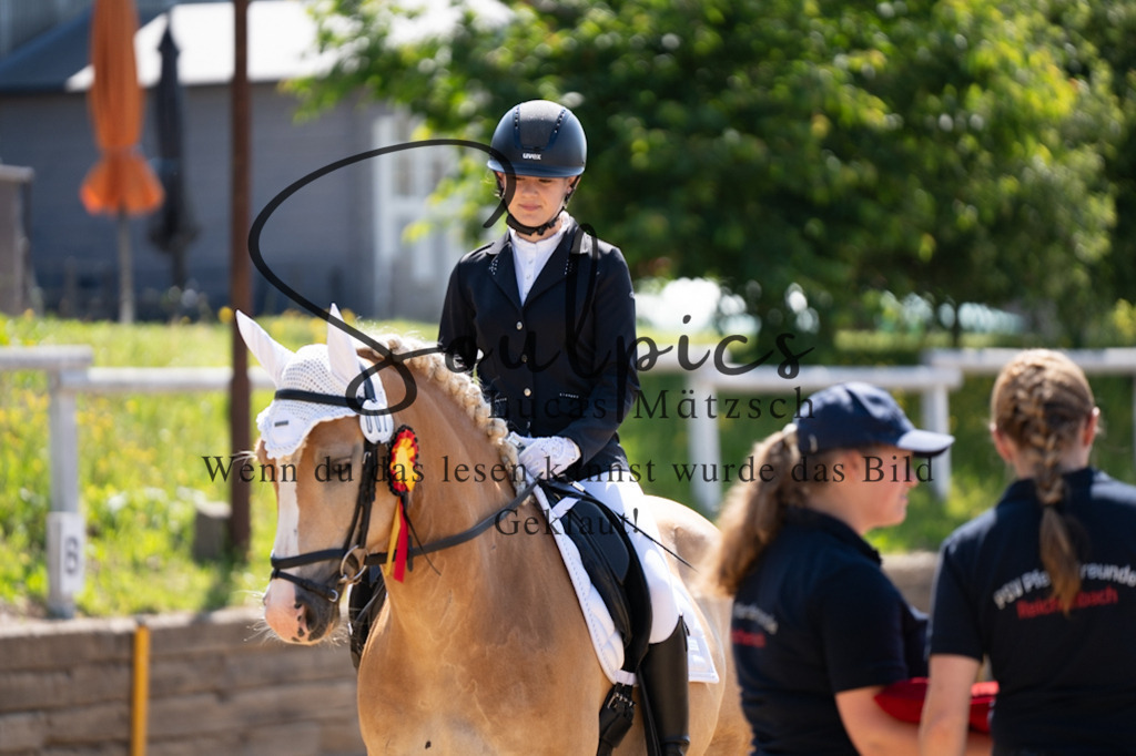 A7V07901 | Pferdefotograf