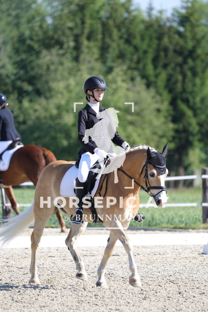 0P6A7638 | Willkommen bei Brunnmayr - Design & Fotografie – Ihrem Spezialisten für Reitturniere und Pferdeveranstaltungen in Oberösterreich, Salzburg und Bayern! Seit über 17 Jahren sind wir leidenschaftlich dabei.