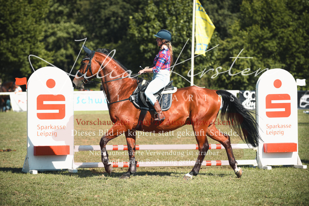 DSC_7763 | Pferde- und Turnierfotografie in Westsachsen. Pferdeportraits, Auftragszeichnungen und intuitive Kunst.