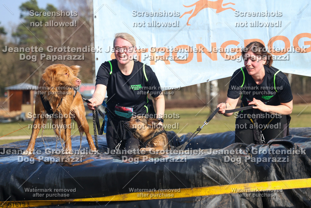 Dog Paparazzi - Strongdog North Mrz26-3305 | Dog Paparazzi Jeanette Grottendiek Fotografie & Videografie - Realisiert mit Pictrs.com