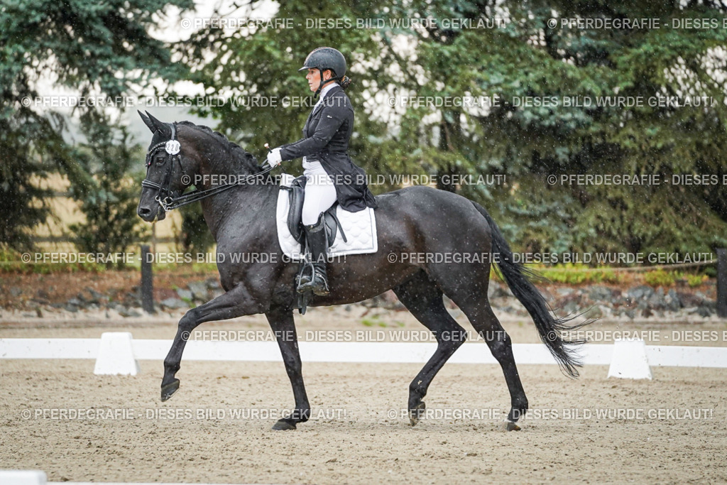 DSC08298 | Pferdegrafie