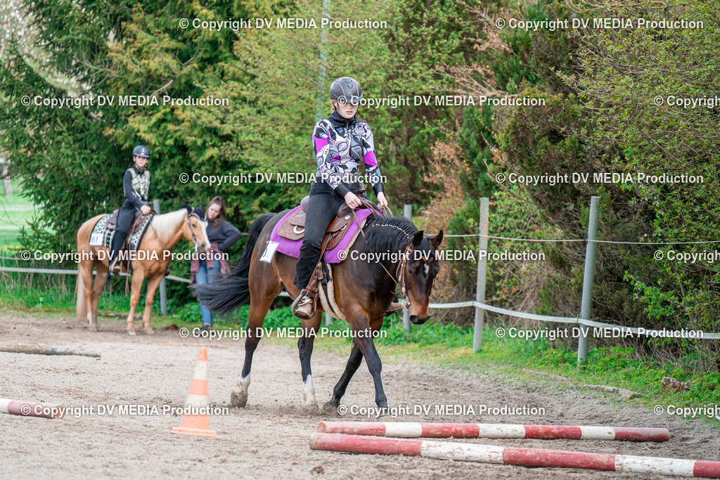 BAL02526 | dv-media-shop - Realisiert mit Pictrs.com