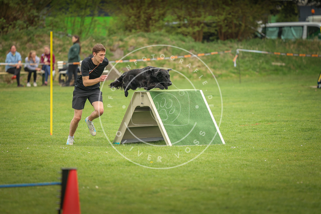 Pfotenfotografie_0L8A1464 | Hundefotografie, Tierfotograf, Pfotenfotografie, Fotoshooting Hund, Hunde Portrait, Hundesport, Hundeportraits, Heideshooting, Hunde, Sportfotograf, Hundefotograf, Turnierhundsport, THS,  - Realisiert mit Pictrs.com