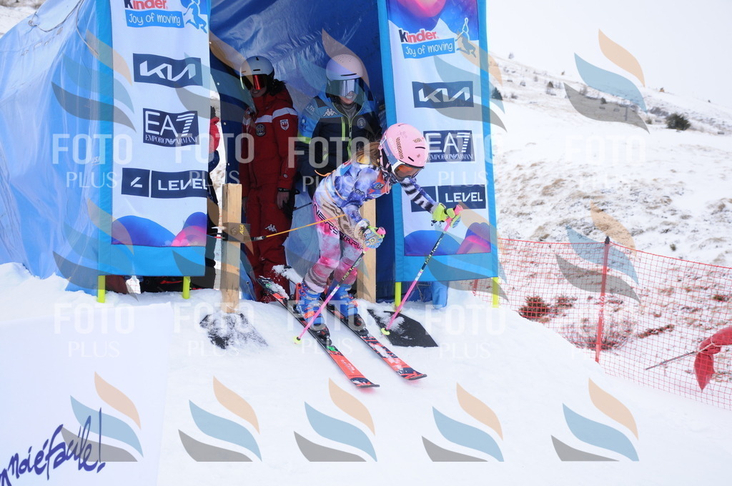 DSC_8330 | holidayphoto