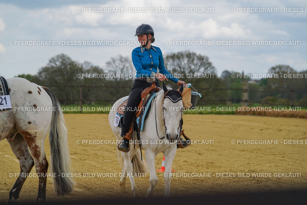 DSC05824 | Pferdegrafie