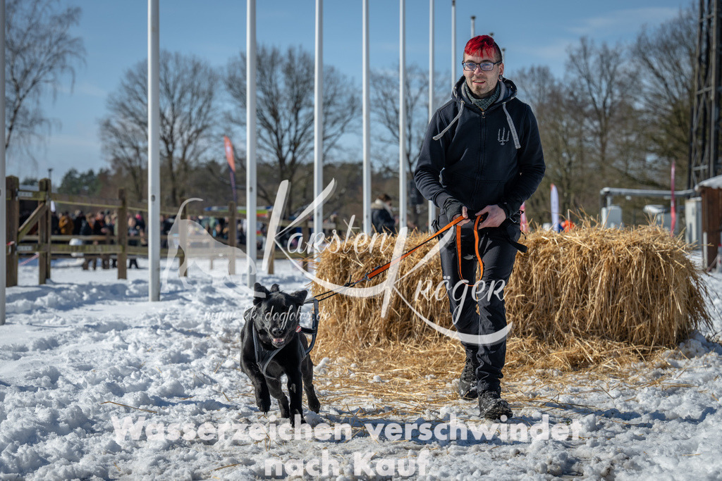 1252_ZZ92898-3 | kk-dogfotos