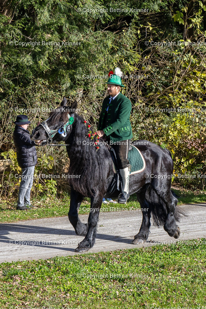LBT24-544 | foto-bettina-krinner - Realisiert mit Pictrs.com