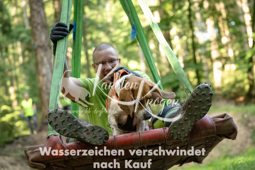 1440_ZZ90621-Bearbeitet-2 | kk-dogfotos