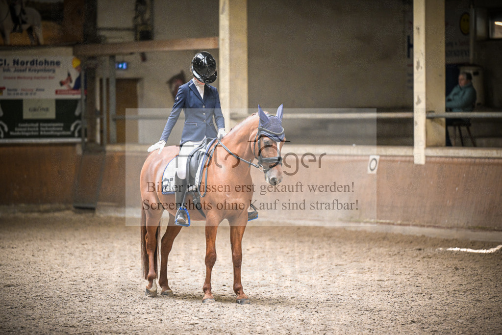 DOS_1565 | Entdecke hochwertige Reitturnierfotos von Foto Oger. Professionell, emotional und authentisch – jetzt Lieblingsmomente im Shop bestellen.Deutschlandweite Turnierfotografie. - Realisiert mit Pictrs.com