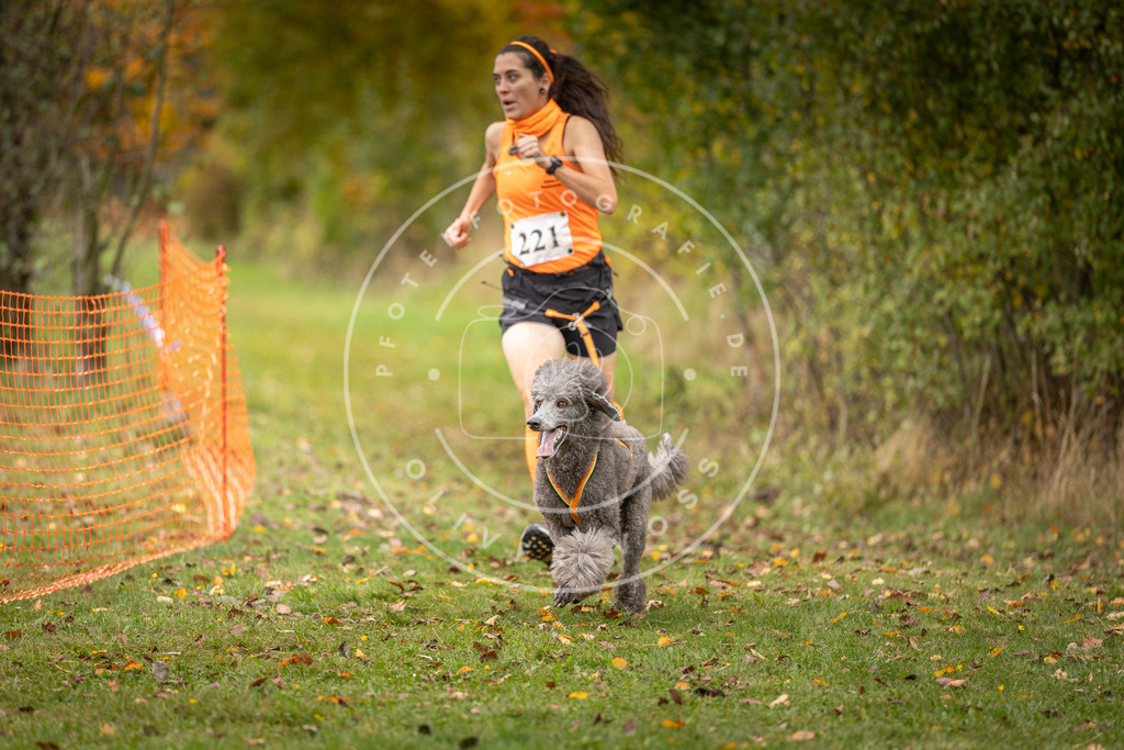 Pfotenfotografie_DV3A4806 | Hundefotografie, Tierfotograf, Pfotenfotografie, Fotoshooting Hund, Hunde Portrait, Hundesport, Hundeportraits, Heideshooting, Hunde, Sportfotograf, Hundefotograf, Turnierhundsport, THS,  - Realisiert mit Pictrs.com