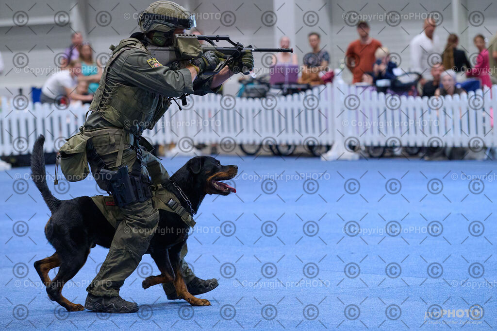 202406_ÖKV-IHA-Tulln24_DSC_3570 | proPHOTO - Realisiert mit Pictrs.com