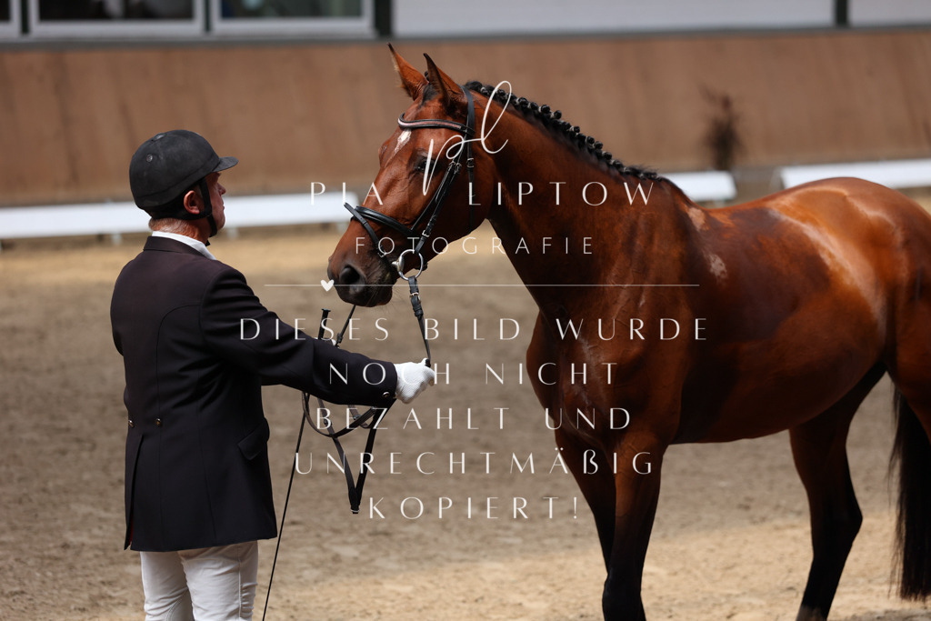 IMGM7549 | pl-fotografie