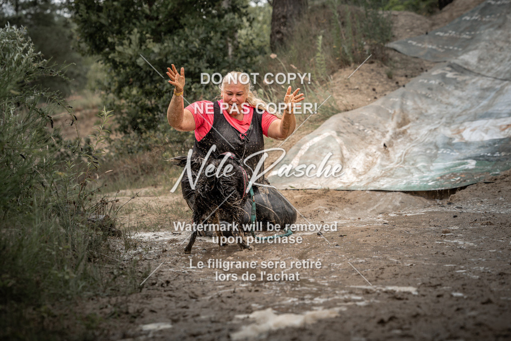 nelerasche_sa1430-1500_222 | nelerasche