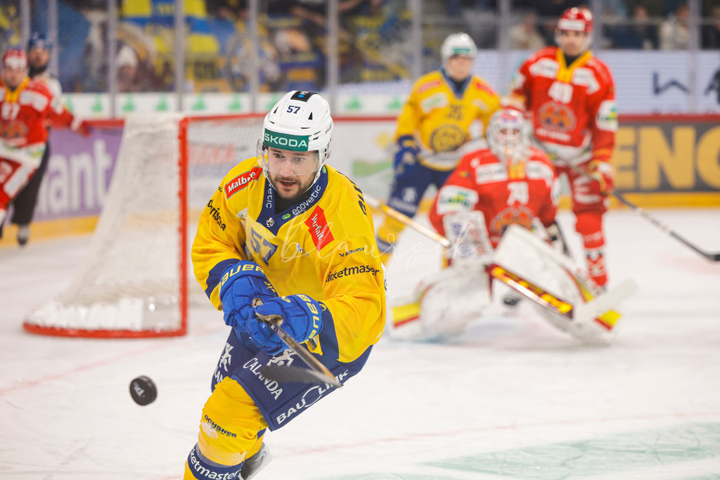 EHCB vs HCD 20260106_wb-0908 | Sportbilder, Sportfotograf, Hochzeits- und Eventfotografin, Flugshows, Portraits und Tiershooting, Aviation, Downhill, Nationalleague, Swissleague, International