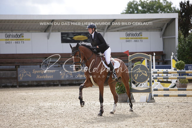 1J2A2512Paula de Boer-Schwarz_ Varello H_ Kn969_ Havekost | Foto- und Videografie für alles rund ums Pferd. Hochwertige Bilder und Videos vom Spring- und Dressurreiten, Voltigieren & mehr. Jetzt aktuelle Veranstaltungen und Preise im Shop ansehen. - Realisiert mit Pictrs.com