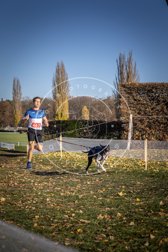 CaniXpix_DV3A0725 | Hundefotografie, Tierfotograf, Pfotenfotografie, Fotoshooting Hund, Hunde Portrait, Hundesport, Hundeportraits, Heideshooting, Hunde, Sportfotograf, Hundefotograf, Turnierhundsport, THS,  - Realisiert mit Pictrs.com
