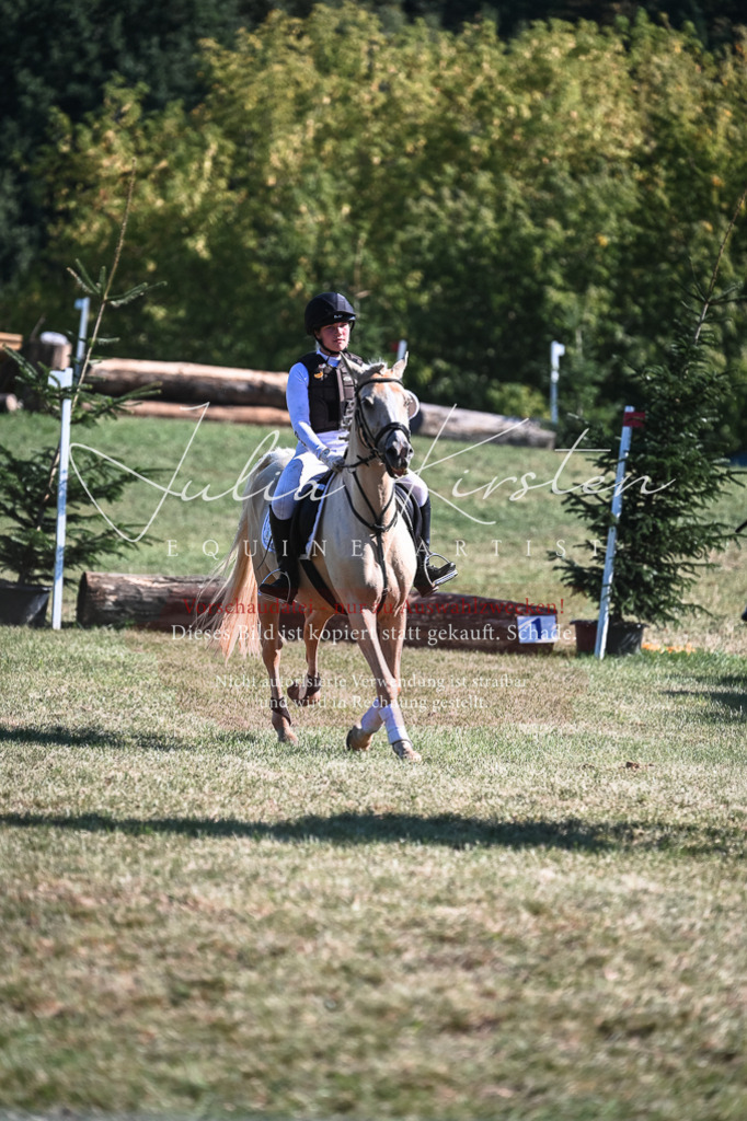 DSC_7049 | Pferde- und Turnierfotografie in Westsachsen. Pferdeportraits, Auftragszeichnungen und intuitive Kunst.