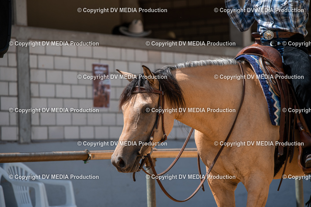 ZS3_9611 | dv-media-shop - Realisiert mit Pictrs.com