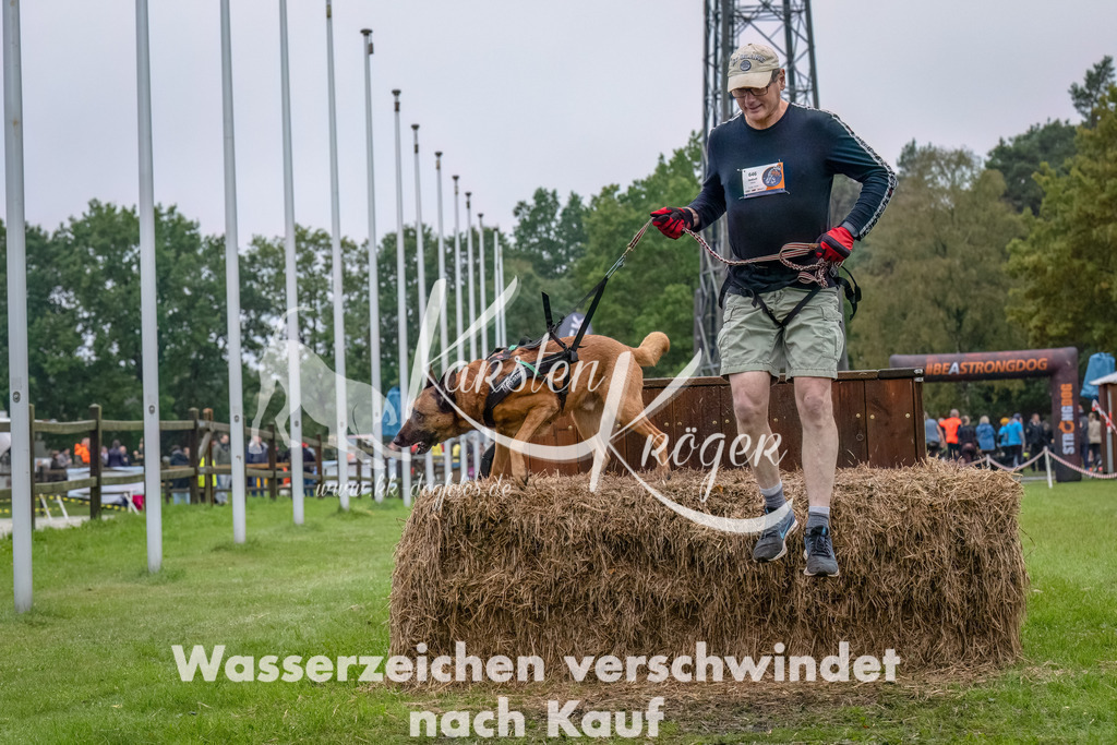 1204--6 | kk-dogfotos