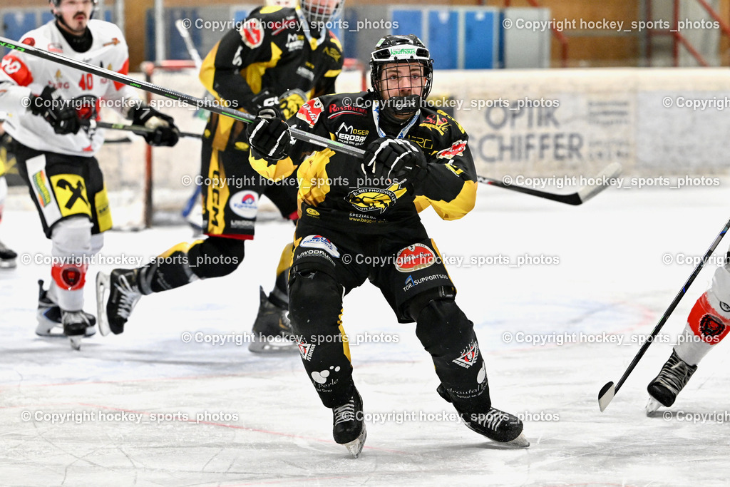 EC MET PHOTOVOLTAIK HORNETS SPITTAL vs. EV ZELTWEG MURTAL LIONS | #14 Stele Florian EC Hornets Spittal, EC MET PHOTOVOLTAIK HORNETS SPITTAL vs. EV ZELTWEG MURTAL LIONS, EC MET PHOTOVOLTAIK HORNETS SPITTAL vs. EV ZELTWEG MURTAL LIONS am 08.02.2026 in Spittal an der Drau (Eissportzentrum Spittal), Austria, (Photo by Bernd Stefan)