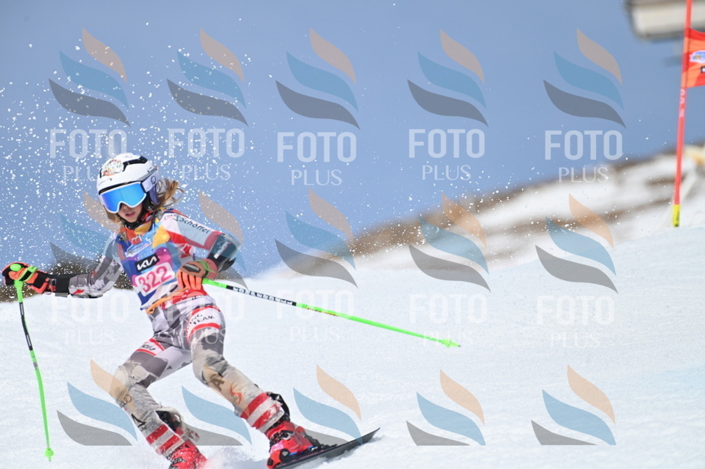 BGV_3141 | holidayphoto