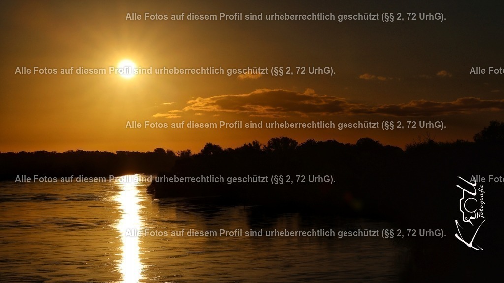Photo_1727420048276 | krollfotografie - Realisiert mit Pictrs.com